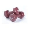Spri Dumbbells Vinyl, Pair - 9,1 Kg