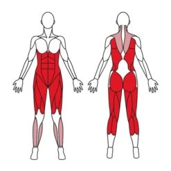 Iron Gym Figure Twister -Gymstick Butik 1506 68 iron gym figure twister 6