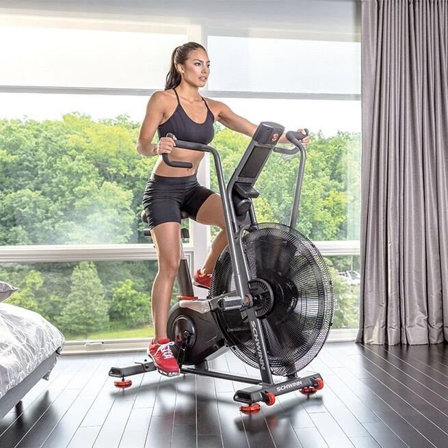 Schwinn Airdyne AD8 6 Schwinn Airdyne AD8 - Billede 4