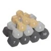 Abilica DumbBell 1 Abilica DumbBell -Gymstick Butik 374275R Abilica DumbBells