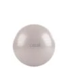Gym Ball, Soft Lilac -Gymstick Butik 54412 653R Casall gym ball juni21