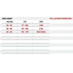 6 Inch Padded Leather Belt, Black/Gold 13 6 Inch Padded Leather Belt, Black/Gold -Gymstick Butik 991079001r full leather padded belt black gold 6