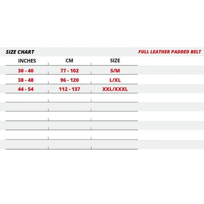 6 Inch Padded Leather Belt, Black/Gold 8 6 Inch Padded Leather Belt, Black/Gold - Billede 6