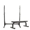 Star Gear Squat Stand + Flat Bench